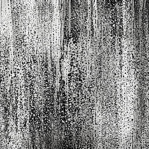 A Misty Drizzle Veil