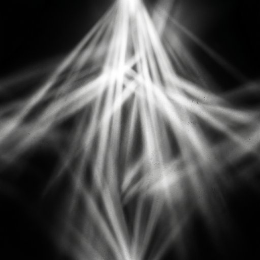 Foggy Street-Lamp Light Rays