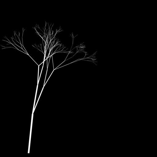 Sparse Bare Tree Branch