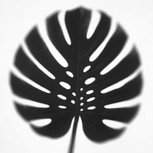 Shadow Of A Large Monstera