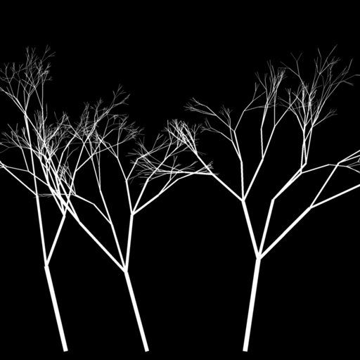 Trio of Varied Bare Trees
