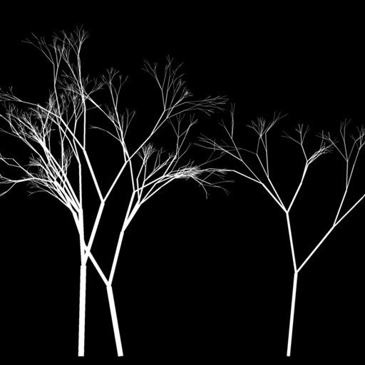 Dense and Sparse Bare Trees