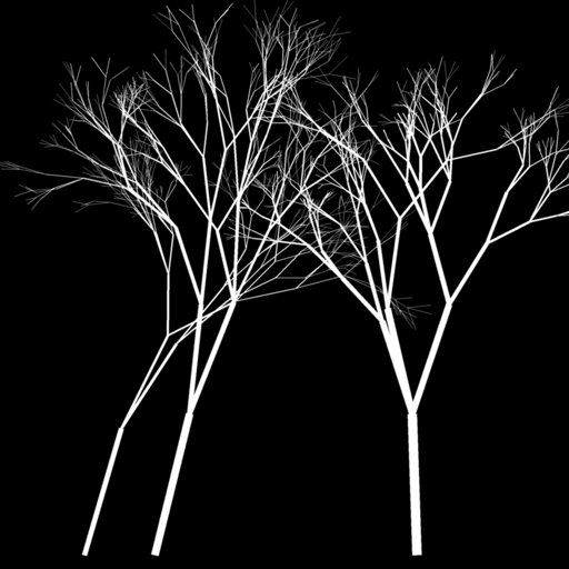 Two Bare Winter Trees