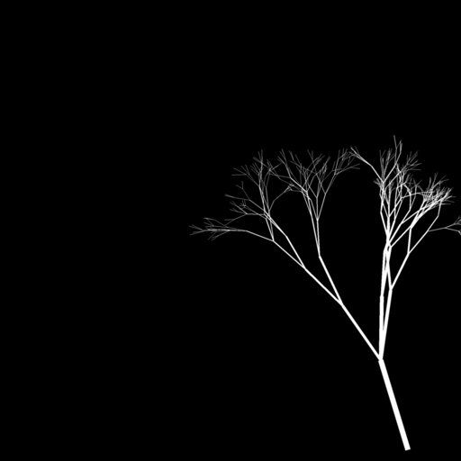 Leaning Bare Tree with Fine Branches