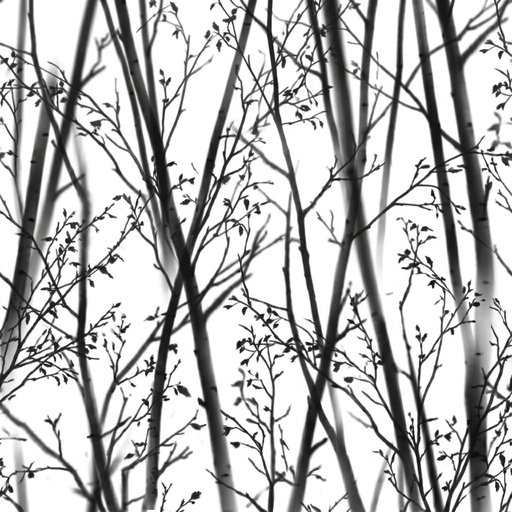 Shadow Of Slender Birch Trunks