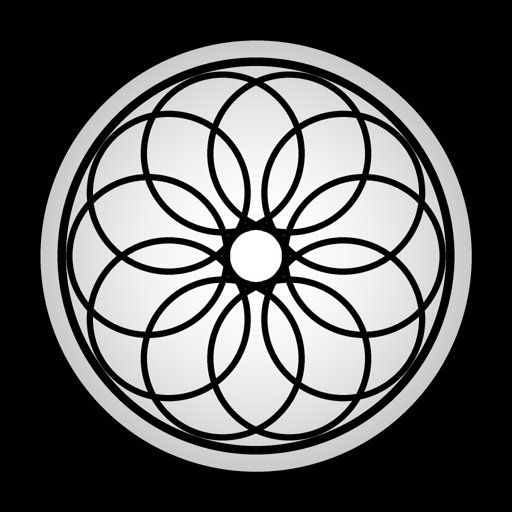 Dense Twelve-Petal Geometric Flower