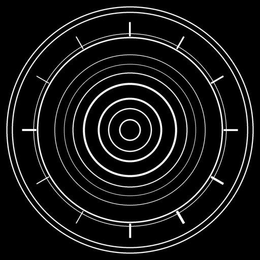 Concentric Target with Dual Marks