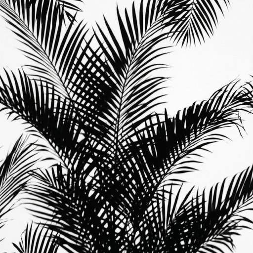 Shadow Of Palm Fronds Cast